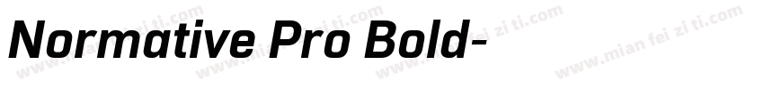 Normative Pro Bold字体转换